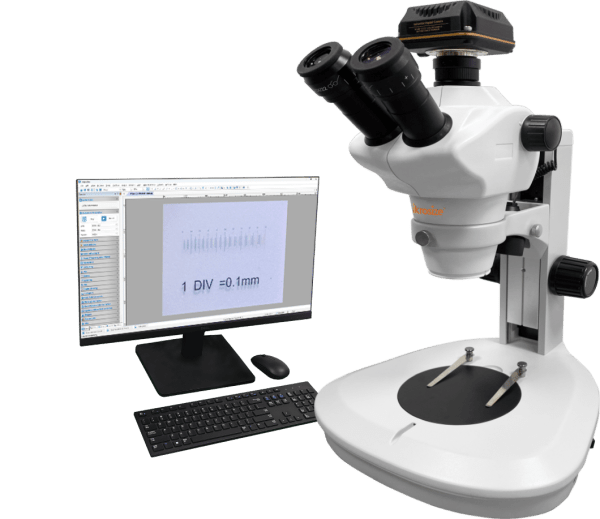 iStereo-211VT Stereo Microscope