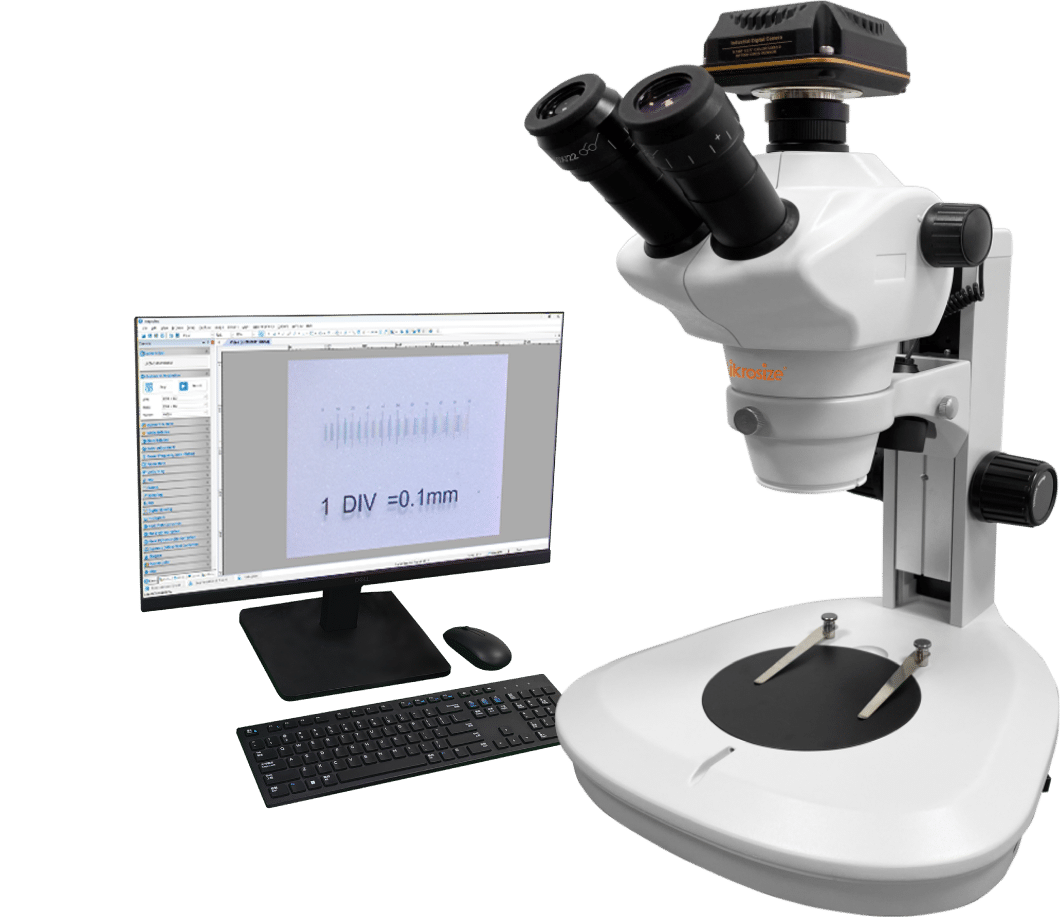 iStereo-211VT Stereo Microscope