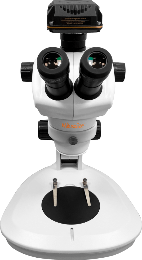 iStereo-211VT Stereo Microscope