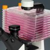 iBM-330C Inverted Biological Microscope