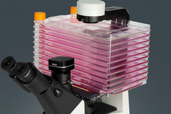 iBM-330C Inverted Biological Microscope