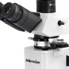 iPLM-43 Polarizing Microscope