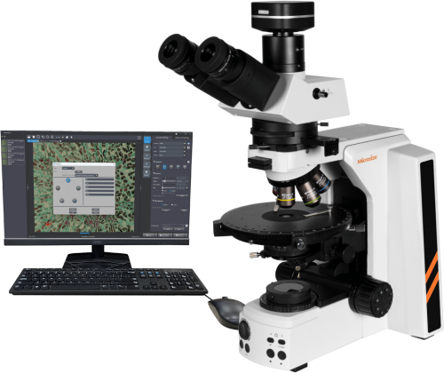 iPLM-530 Polarizing Microscope