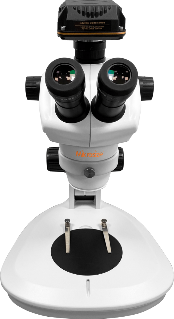 iStereo-211VT Stereo Microscope