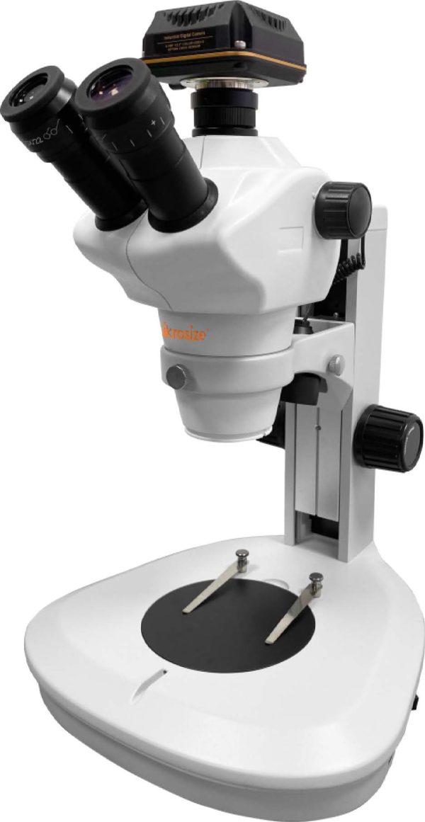 iStereo-211VT Stereo Microscope